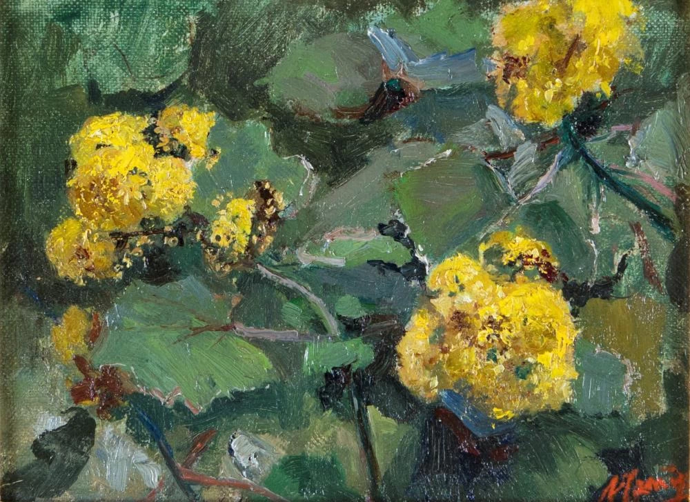 Fiori gialli